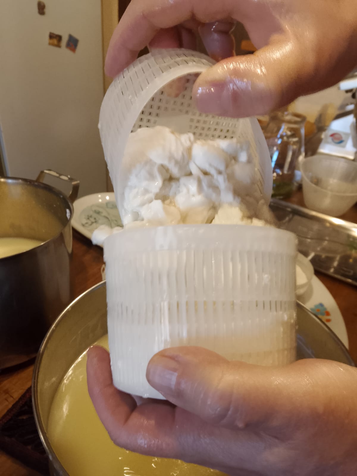 006131aab6fd63a320cd865830fe2366