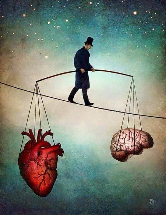 Ragione o sentimento