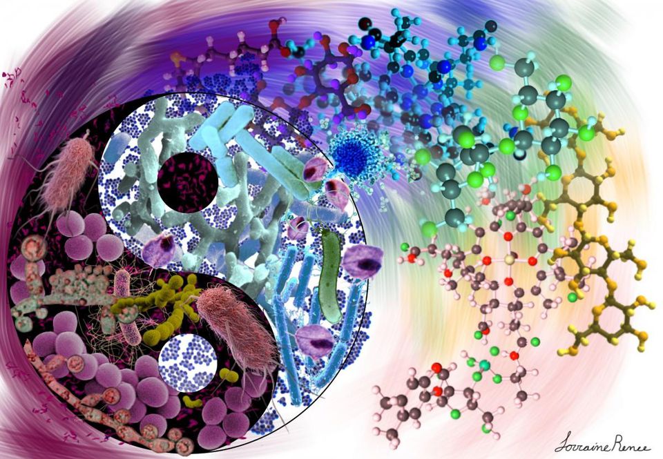 microbioma 1