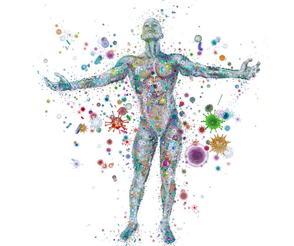 microbioma 4