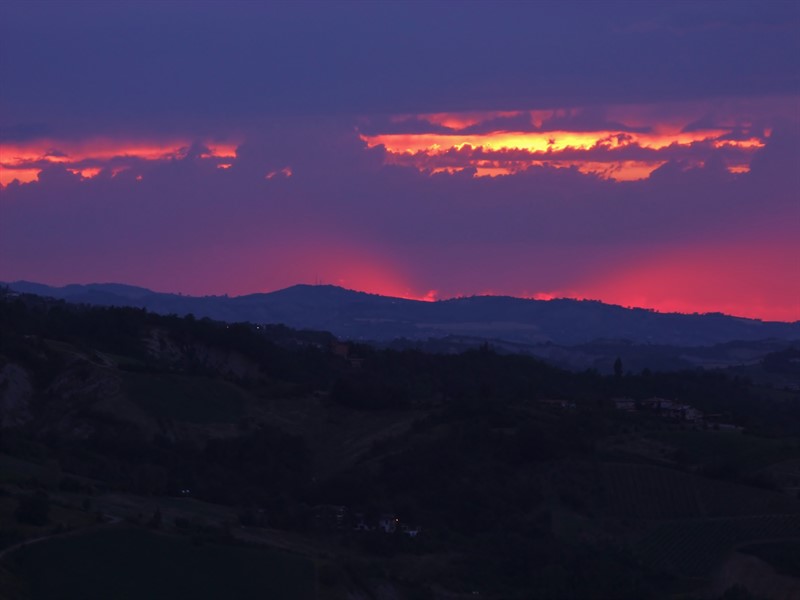 DSCF7987 800x600