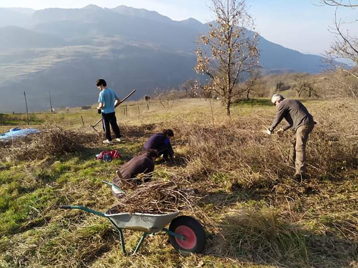 foto orto nuovo