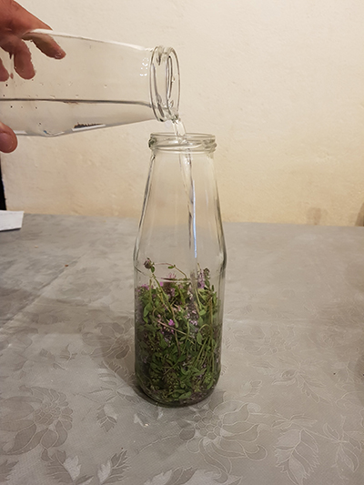 timo solvente