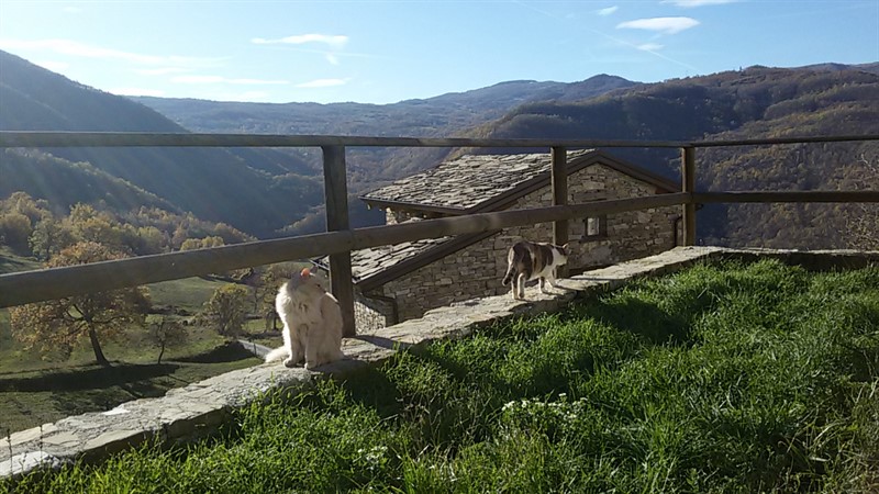 terrazza erbosa tdv 800x450