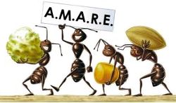 formiche_amare