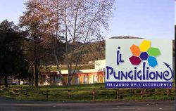 logo_pungiglione_foto_edificio