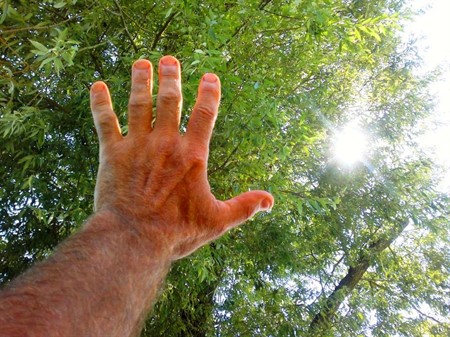 mano coltivazione elementare