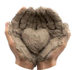 gesti cura