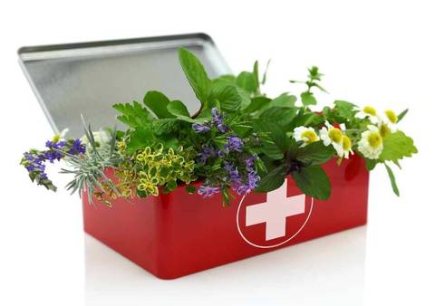 pronto soccorso naturale
