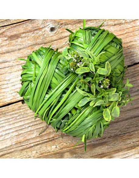 erboristeria curarsi con le erbe