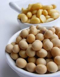 fagioli soia tempeh autoprodotto