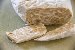 tempeh di soia autoprodotto