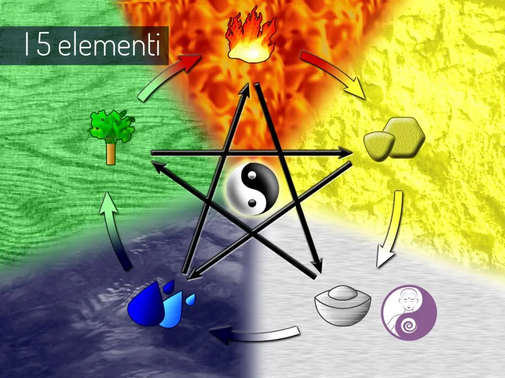 ciclo 5 elementi
