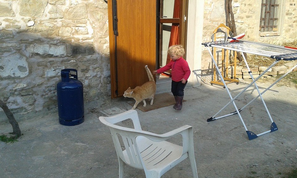 mirtillo e totta